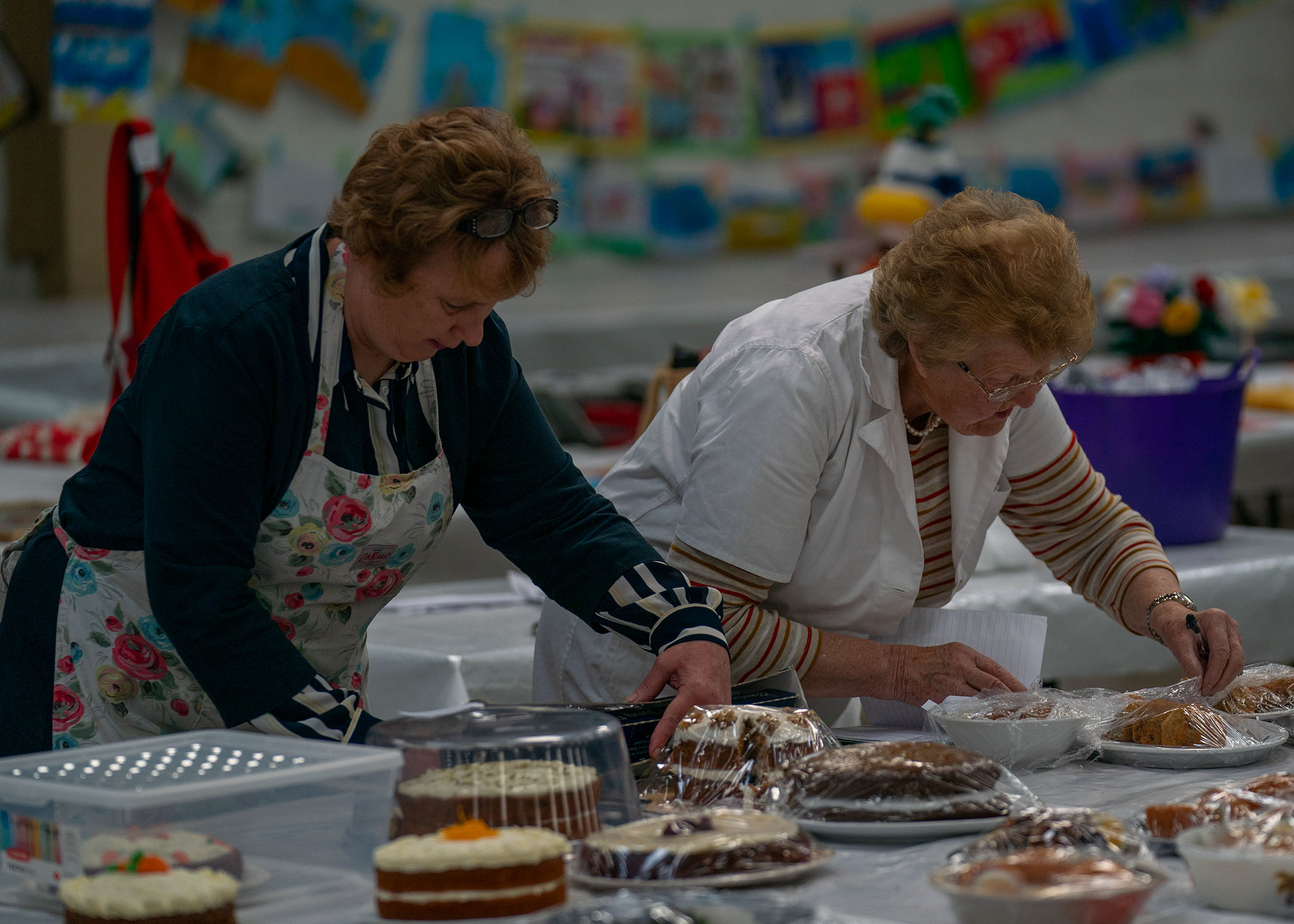 Trade stands and stalls at the Llandyfaelog Show
