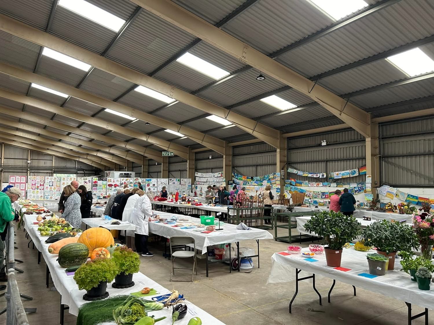 Horticultural produce on display at the Llandyfaelog Show