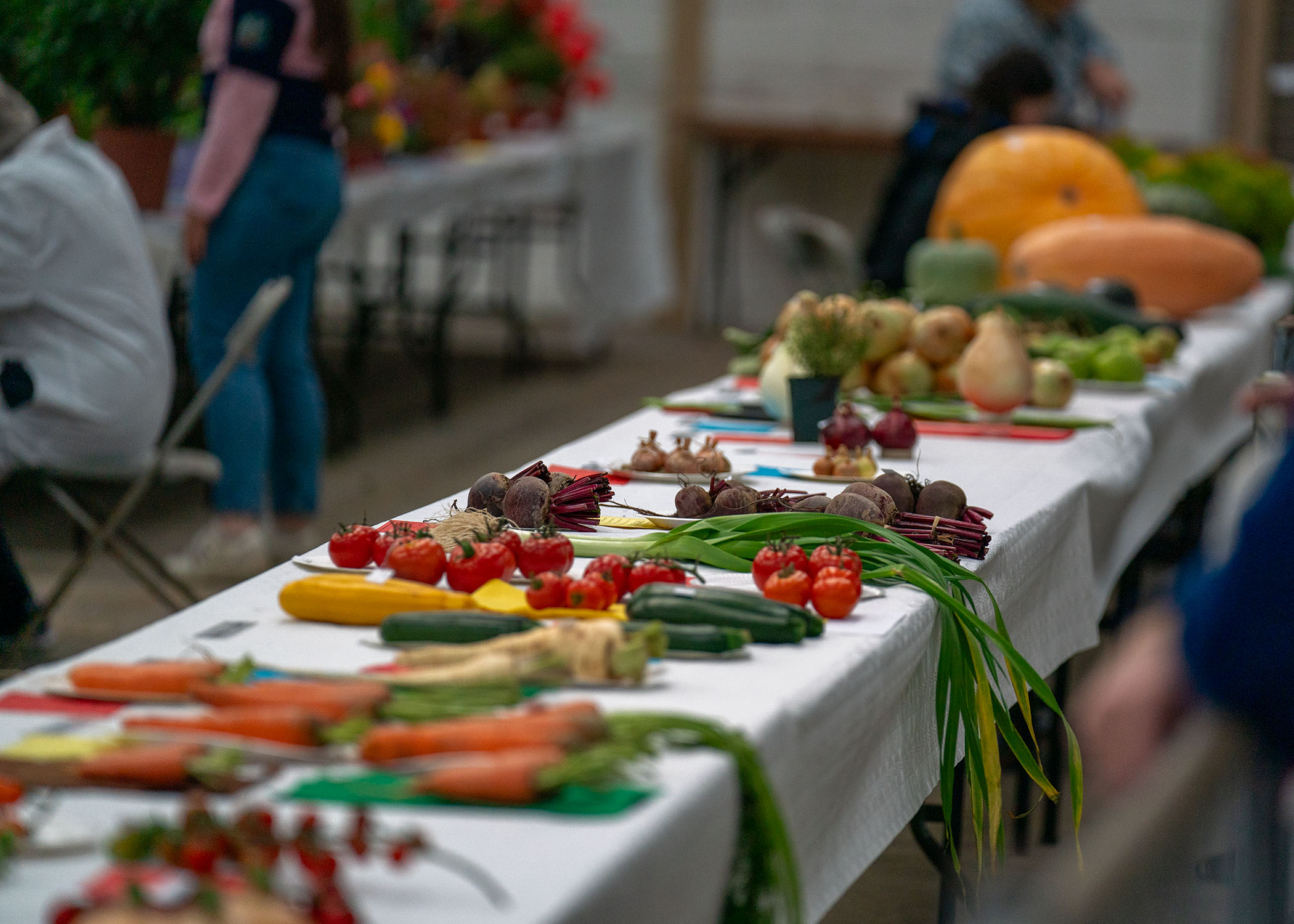 Prize vegetables staged in the horticultural tent